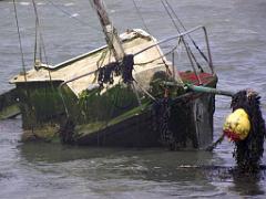 129 ILE DE MOLENE_000056